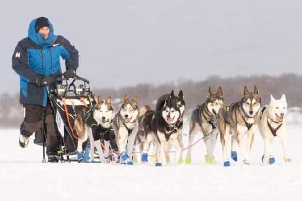 Luca alle Piane di Mocogno porta i bimbi in slitta 