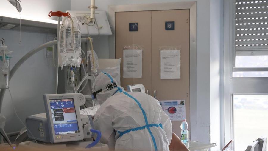 Il virus che ha sconvolto le nostre vite