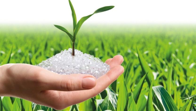La risposta sostenibile con le bioplastiche sintetizzate a scuola
