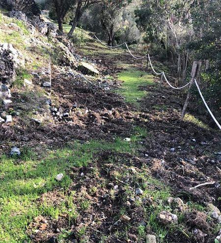 Elba, la fondazione delle Grotte: «I cinghiali devastano anche i siti archeologici»
