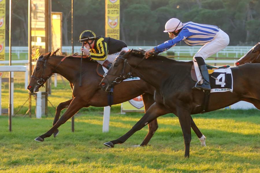 San Rossore, Robella va veloce con Di Tocco nella corsa del giovedì: il resoconto e tutti i risultati