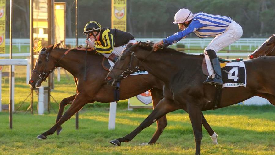 San Rossore, Robella va veloce con Di Tocco nella corsa del giovedì: il resoconto e tutti i risultati