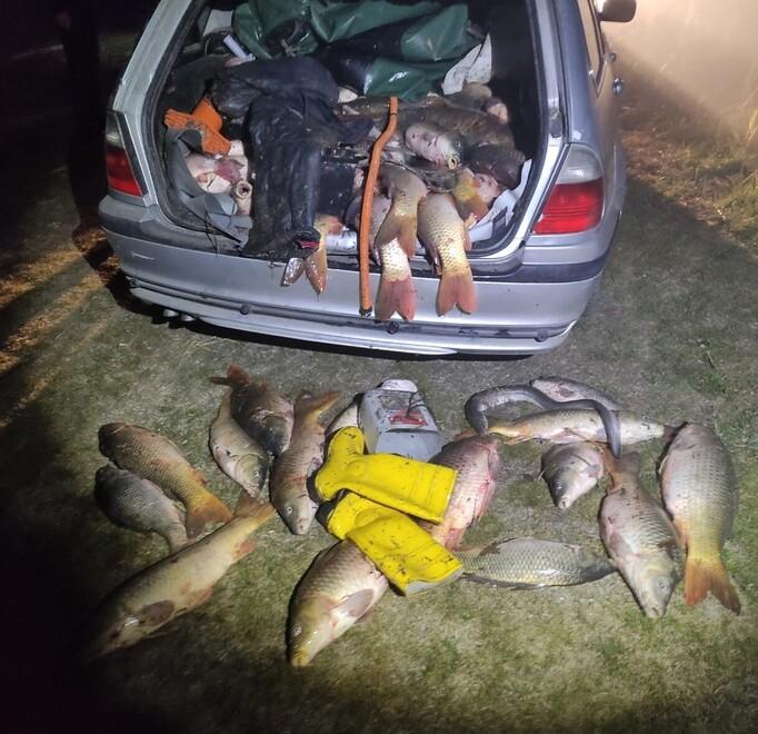 Campotto, bracconieri all’opera da mesi