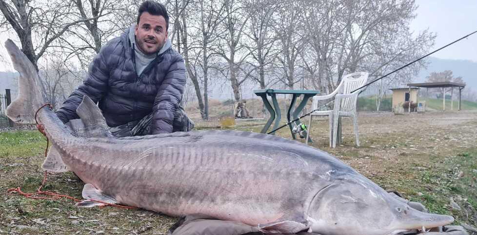 Storione di 140 chili pescato al Lago Lontra