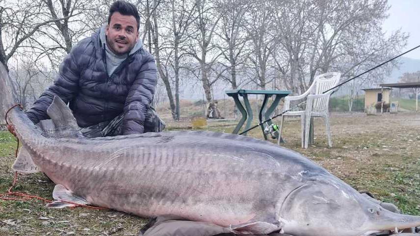 Storione di 140 chili pescato al Lago Lontra