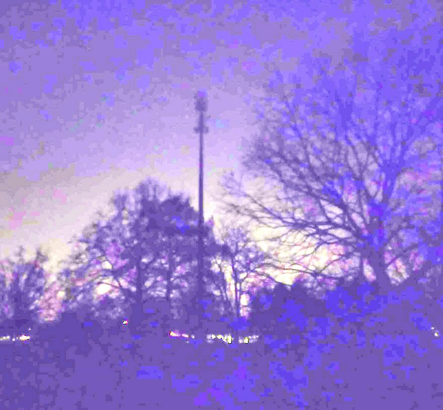 Modena. Lo strano caso del parco Amendola spento: tutti i weekend salta l’illuminazione pubblica