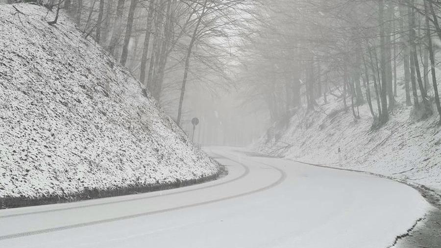 Maltempo in Toscana, verso l’abbassamento della quota neve. Fiocchi bianchi anche a Livorno – Video