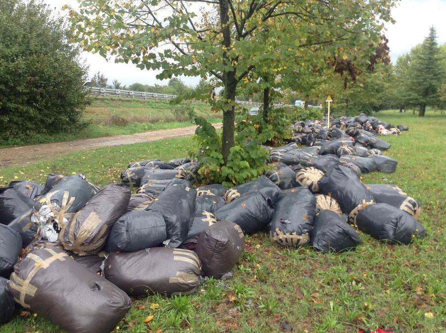 
	Scarti tessili abbandonati in un campo (archivio)

