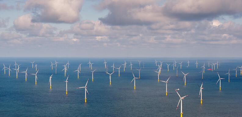 «Rinnovabili non significa far west», il Grig fa opposizione ai progetti offshore 