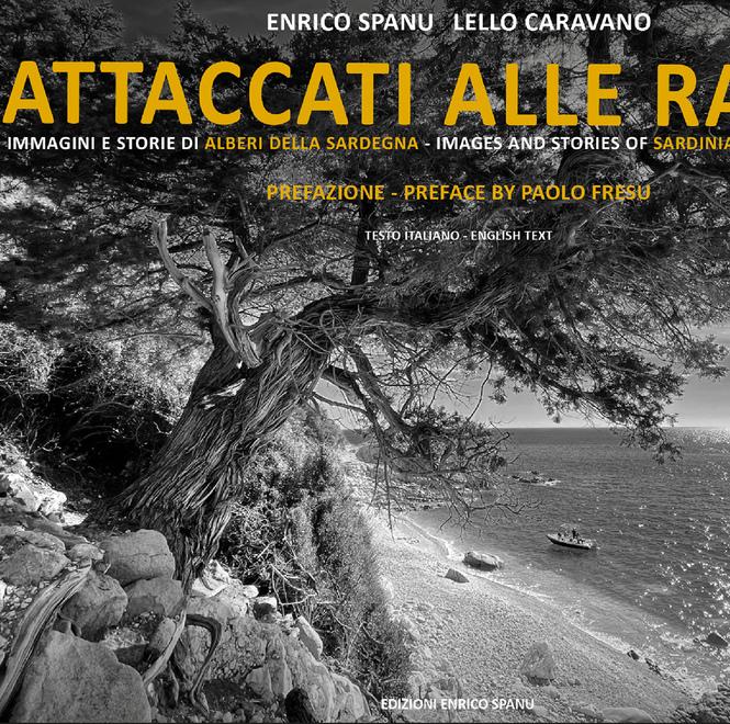 Attaccati alle radici: i patriarchi verdi negli scatti di Spanu 