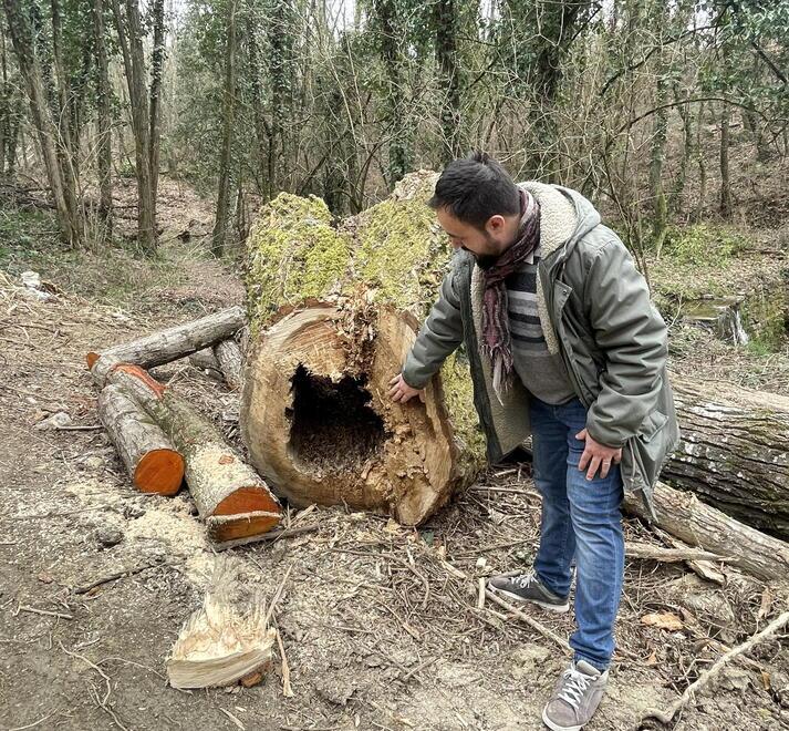 Carmignano, il bosco intorno al Furba è tornato a nuova vita dopo l’intervento del Consorzio di bonifica
