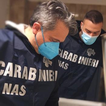 Modena, supermercato multato: blatte, sporcizia e ragnatele nel laboratorio gastronomico