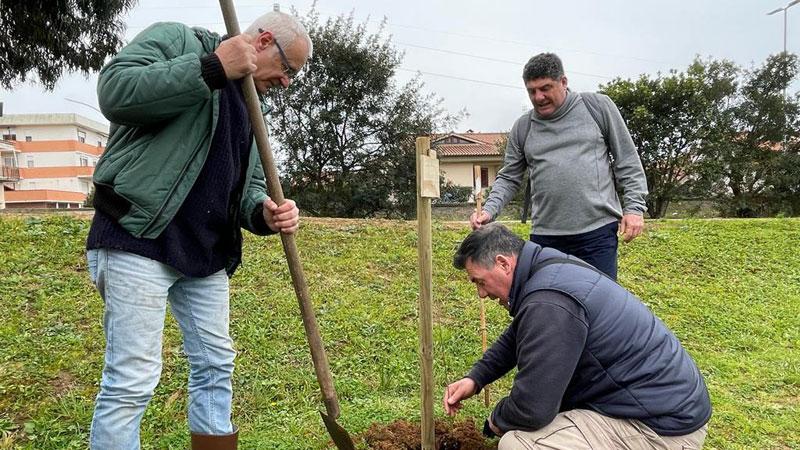 Idea in parrocchia a Follonica: oltre venti alberi per far nascere un piccolo parco
