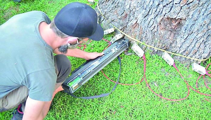 Qui Nuoro - Scienze Forestali cresce da 30 anni e ora "Restart" 