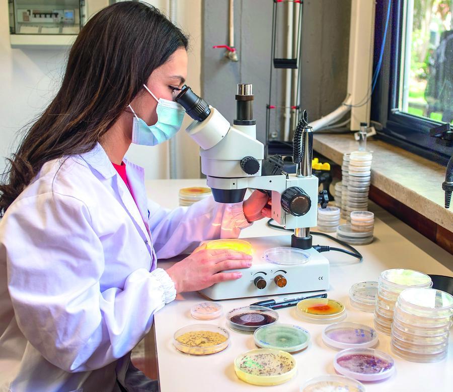 Risorse genetiche, tesoro sardo