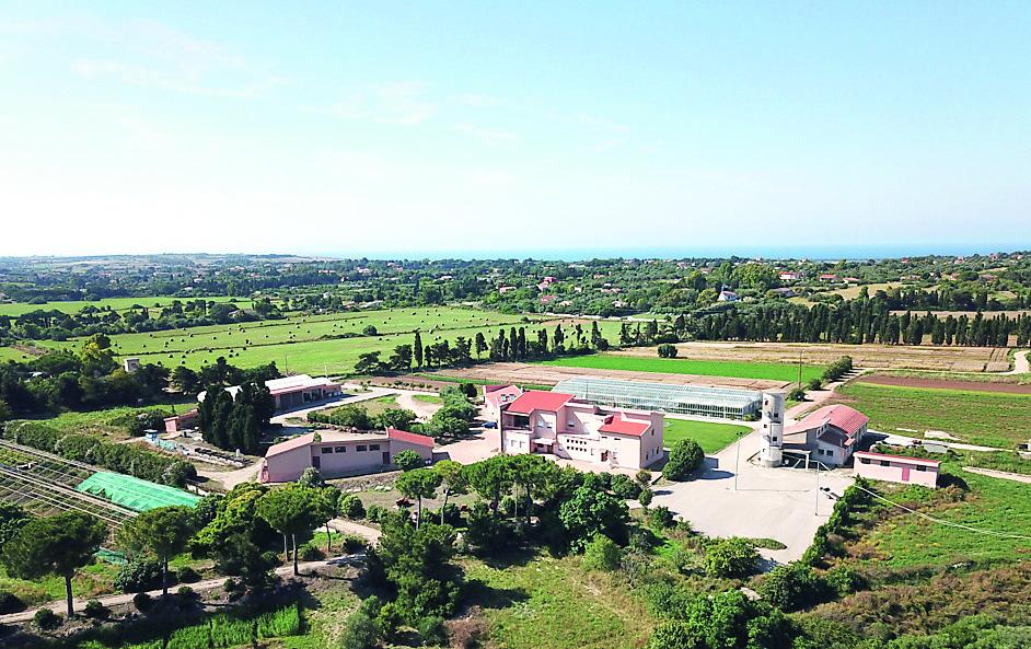 L'offerta formativa, quattro corsi di studio e tutte le opportunità per diventare i futuri manager dell’agricoltura 