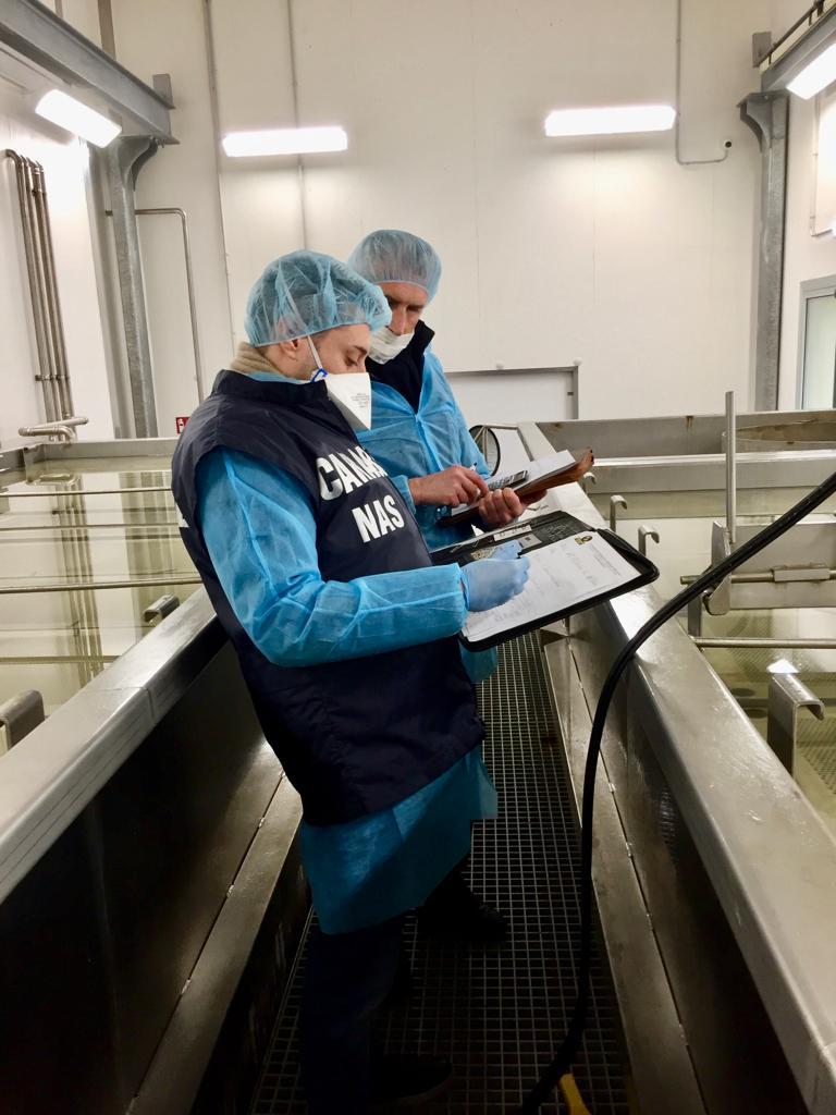 Escrementi e infestazioni nei locali Chiuso un caseificio di montagna