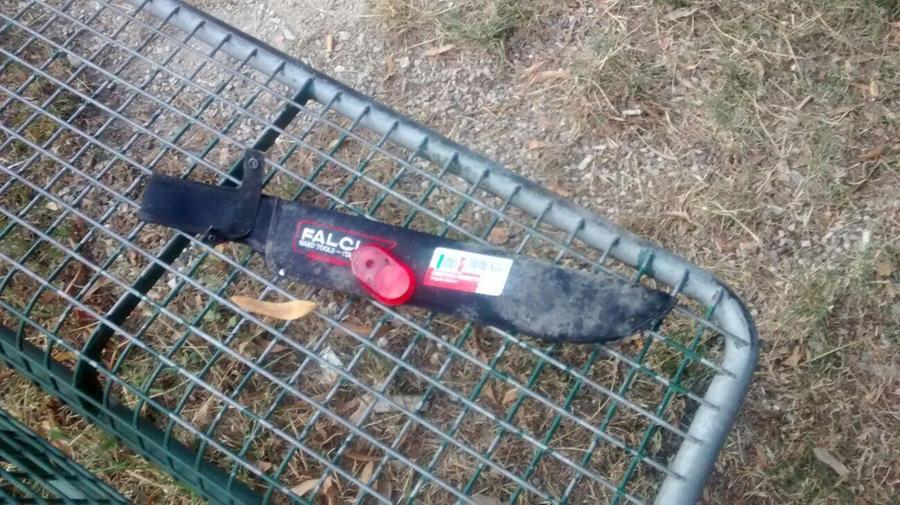 Ferrara, la guerra tra clan nigeriani: machete, sangue e spaccio di droga in Gad