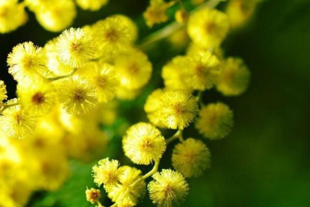 Modena Recital per l’8 marzo per le donne iraniane 