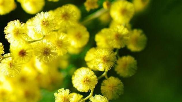 Modena Recital per l’8 marzo per le donne iraniane