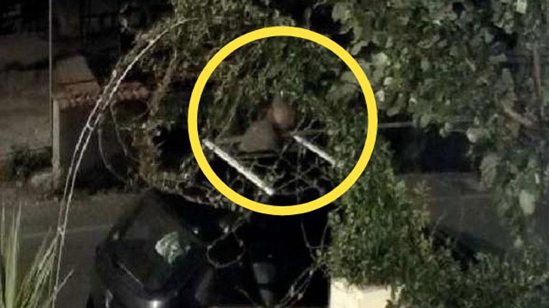 Furti in serie, l’elettricista di Rosignano ancora nei guai: arrestato per 14 colpi in Veneto