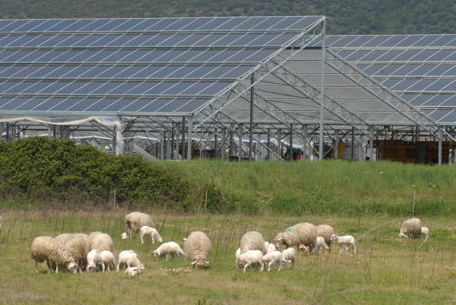 
	Impianto fotovoltaico nelle campagne dell'Oristanese

