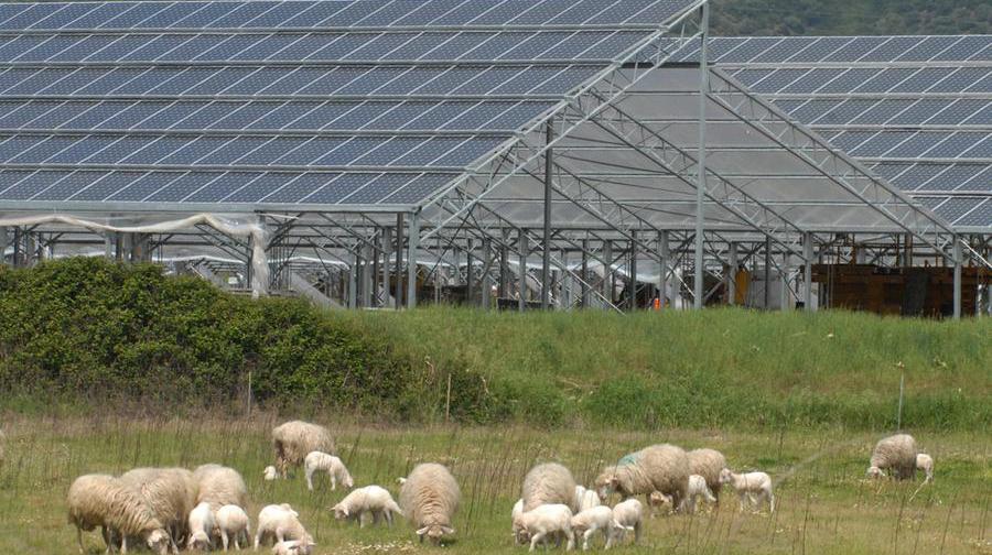 Impianto fotovoltaico nelle campagne dell'Oristanese