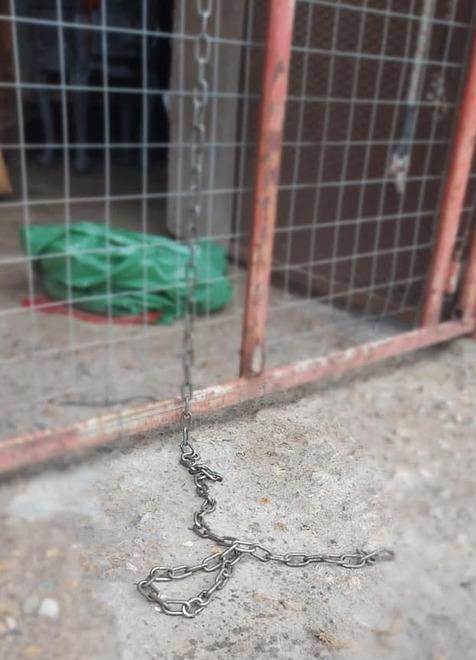 Costretto alla catena Liberato un cane dalla Municipale