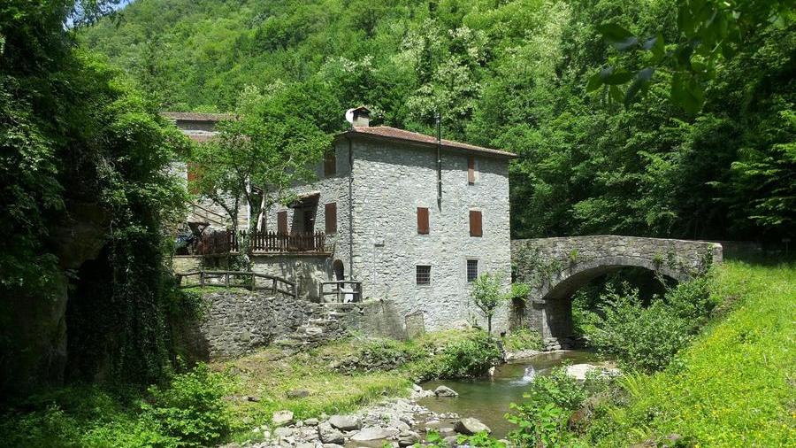Mondi perduti Le escursioni tra i mulini