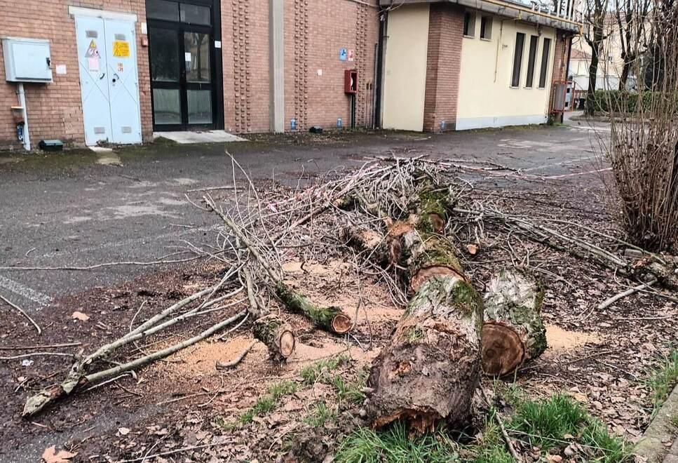 Carpi. Conad chiuso da mesi e rifiuti ovunque «Presto installeremo nuove telecamere» 