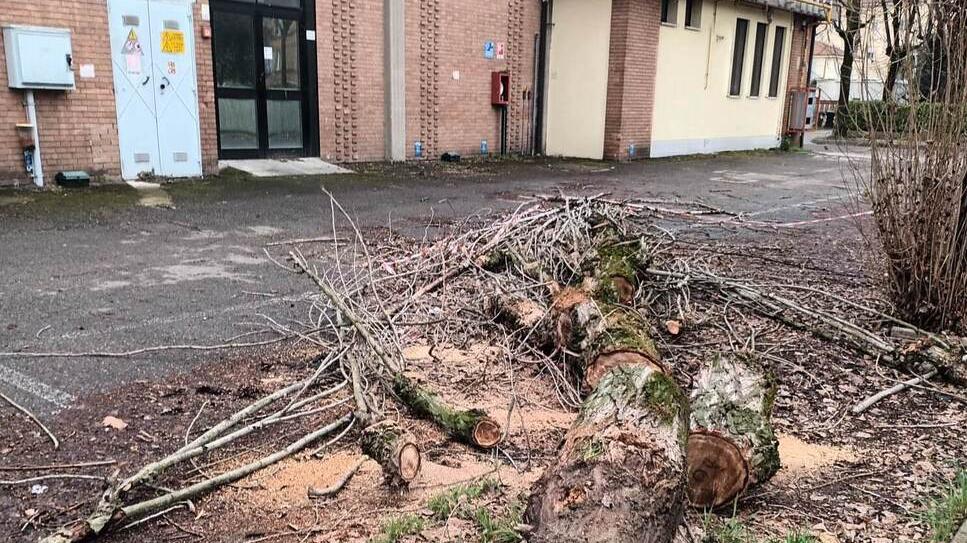 Carpi. Conad chiuso da mesi e rifiuti ovunque «Presto installeremo nuove telecamere»
