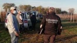 Portomaggiore, sfruttavano i braccianti agricoli: i caporali patteggiano fino a 3 anni