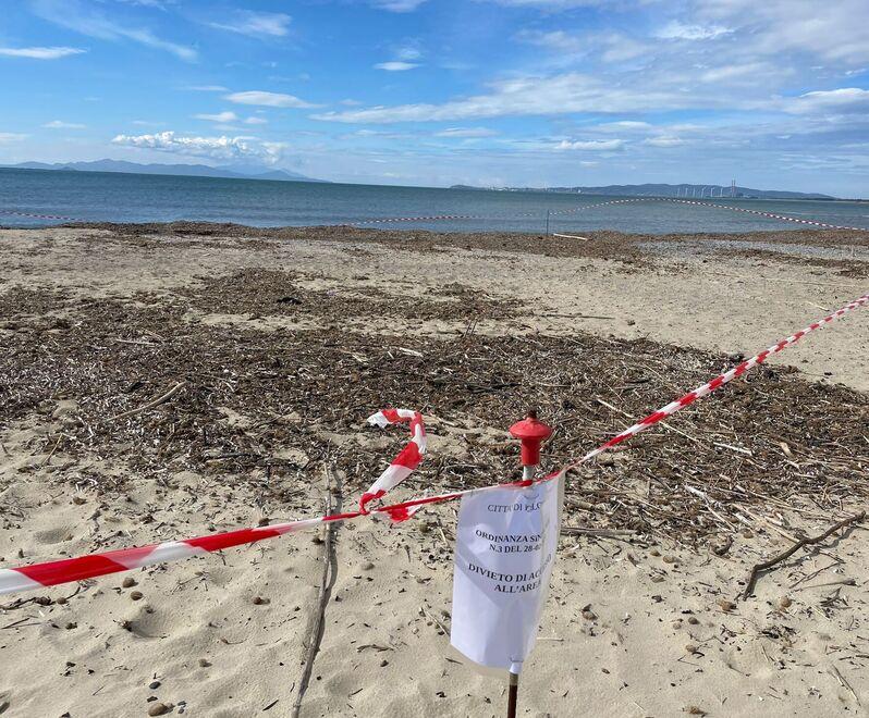 L’area è stata interessata dal conferimento di alghe e materiale prelevato dal corso d’acqua (foto Giorgio)