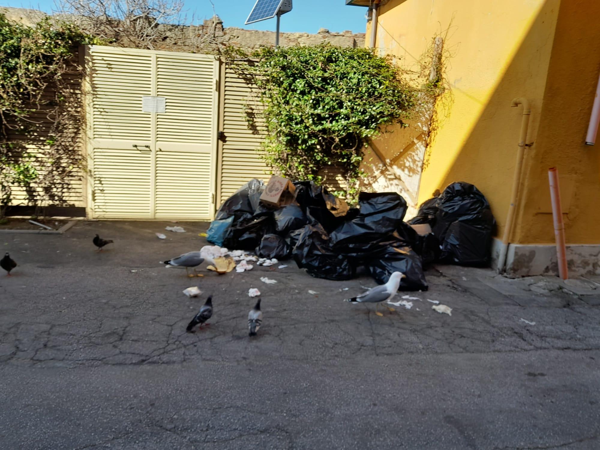 I rifiuti abbandonati