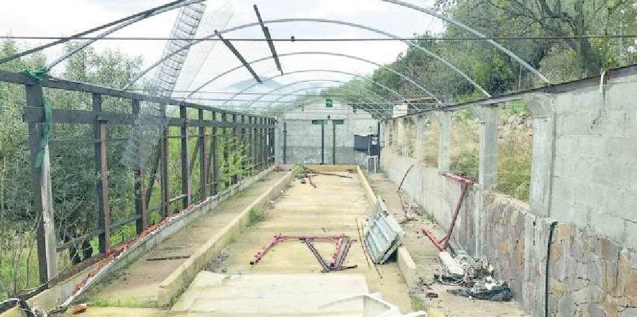 Agricoltore a 18 anni per aiutare la famiglia