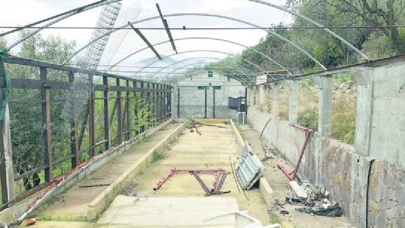 Agricoltore a 18 anni per aiutare la famiglia