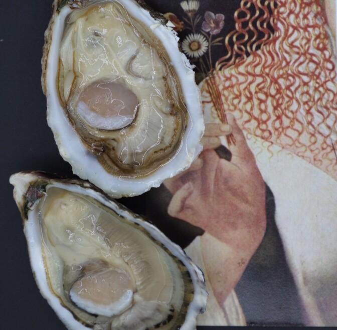 Concorso per nuovi menù con i “gioielli di Lucrezia”