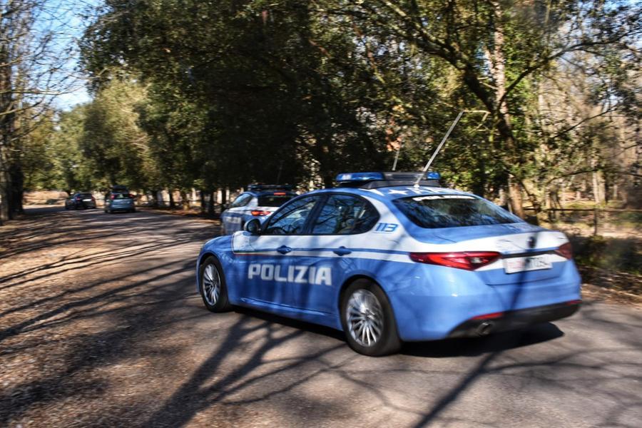 Pisa, trovato ordigno della seconda guerra mondiale nel parco di San Rossore