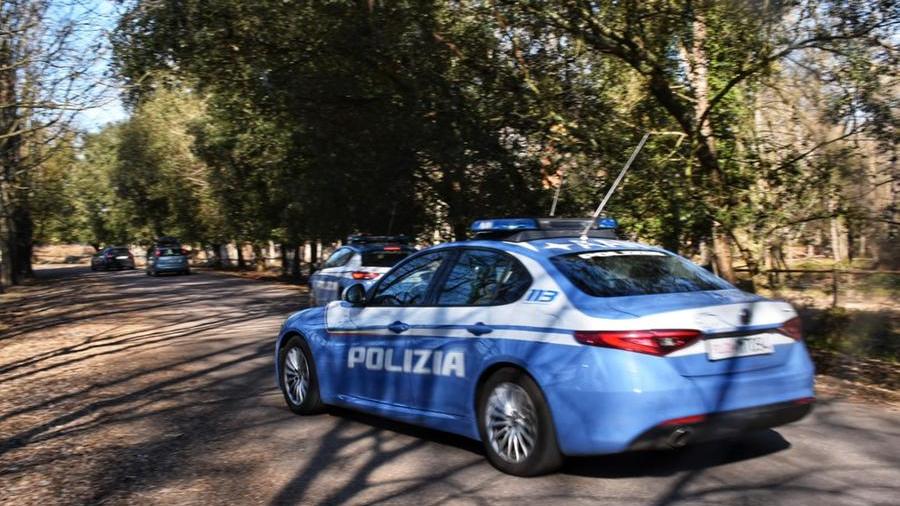 Pisa, trovato ordigno della seconda guerra mondiale nel parco di San Rossore