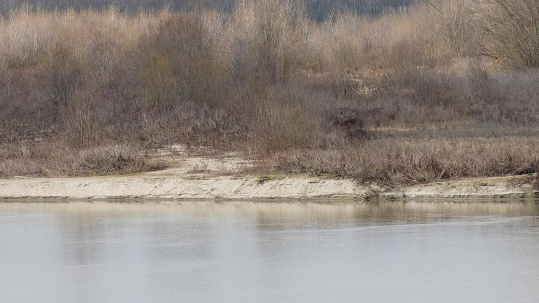 Ferrara, il Po ancora ai minimi storici: scatta l’irrigazione anticipata