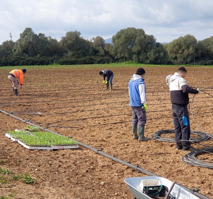 Sassari, la testimonianza: «Nuova vita tra campi e stalle, la comunità mi ha salvato»