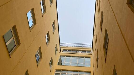 Modena. Al Policlinico conclusa la caccia alle api Fine al maxi cantiere da 250mila euro