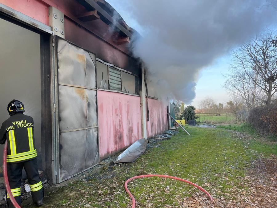 
	L'intervento dei vigili del fuoco a Reggiolo

