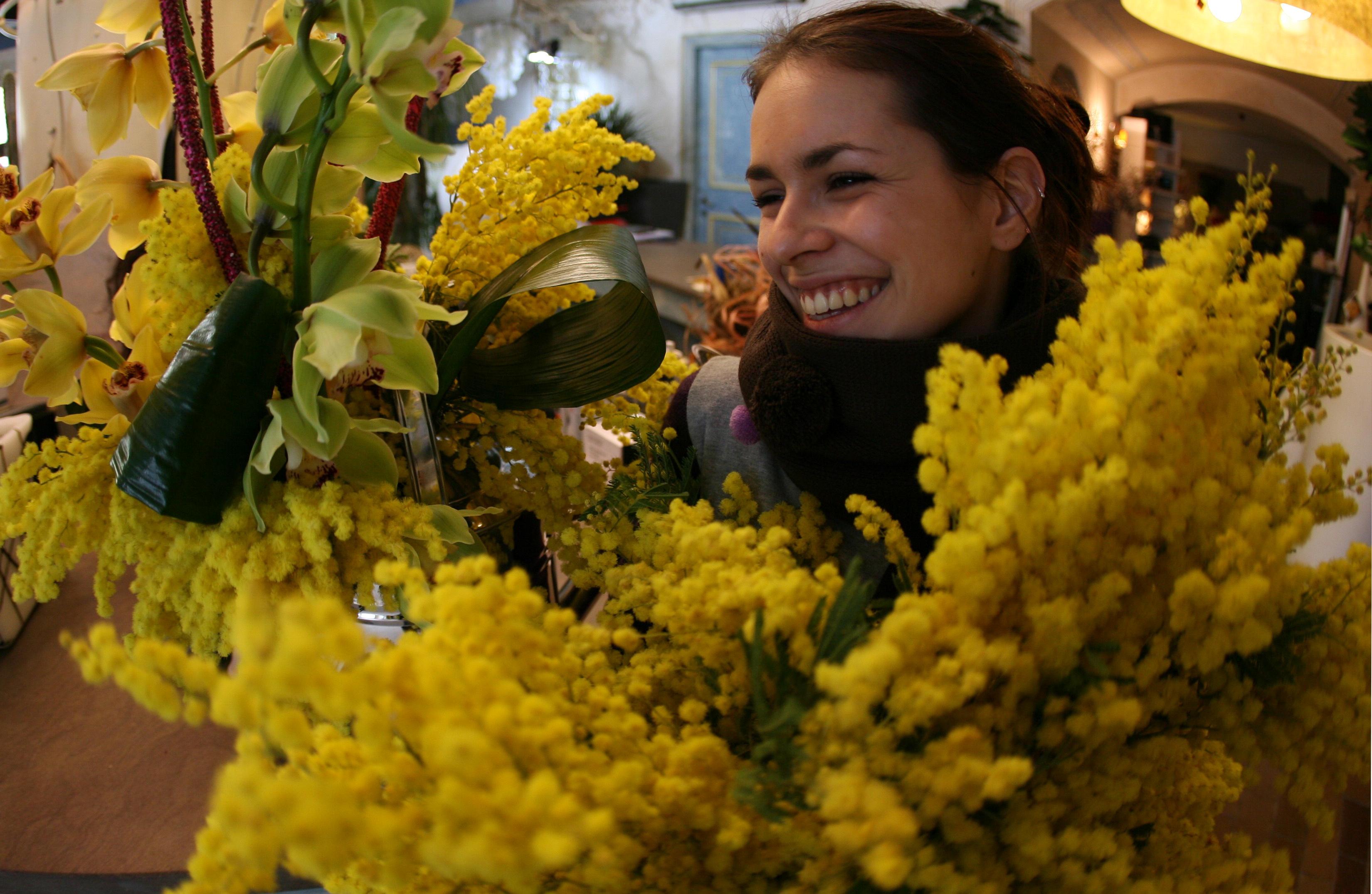 Siccità, addio ad una mimosa  su tre 