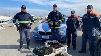 Nell’auto bloccata dalla Stradale sulla 131 dcn un carico di 70 chili di ricci di mare