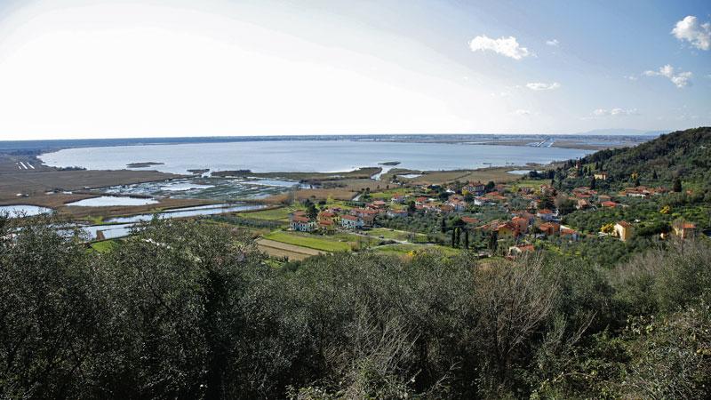Viareggio, allarme siccità per il Massaciuccoli: piove ma il livello di acqua è scarso
