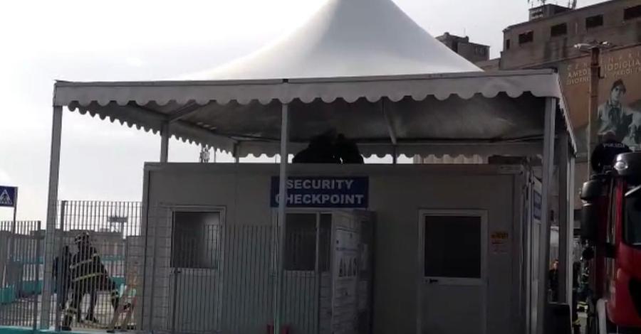 Dà in escandescenze al porto di Livorno e si arrampica sul gabbiotto: fermato col taser