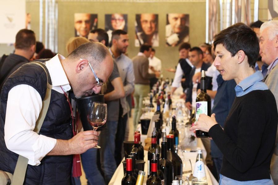 Vini della costa toscana: a Lucca l’anteprima al Real Collegio