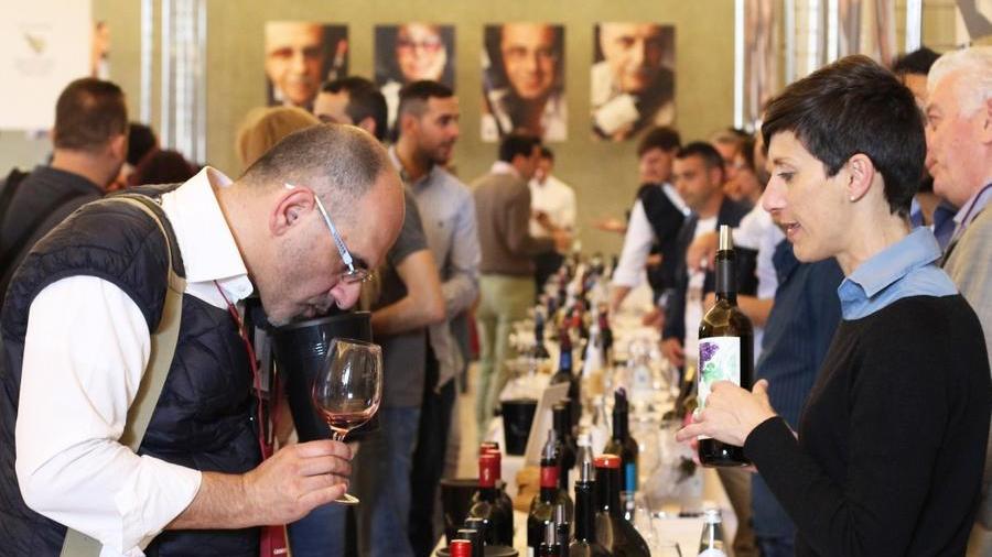 Vini della costa toscana: a Lucca l’anteprima al Real Collegio