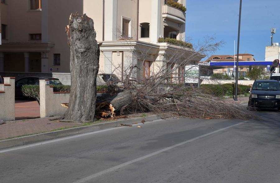 Disagi e danni in Gallura per il maestrale, decine di interventi dei vigili del fuoco